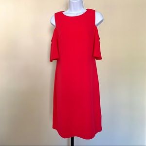 CHAPS- Cold should ruffle sleeves dress  👗